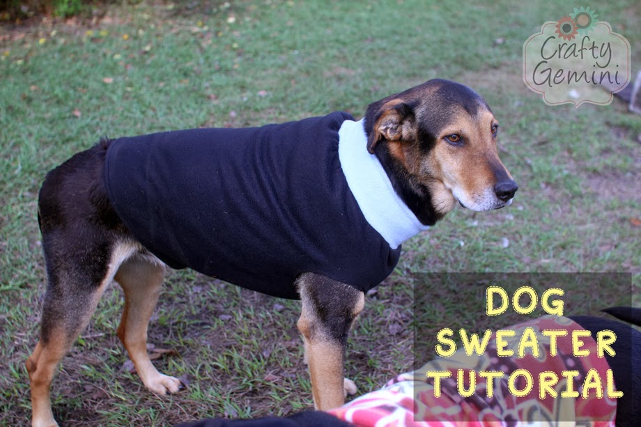 Easy DIY Dog Sweater (No Sew)