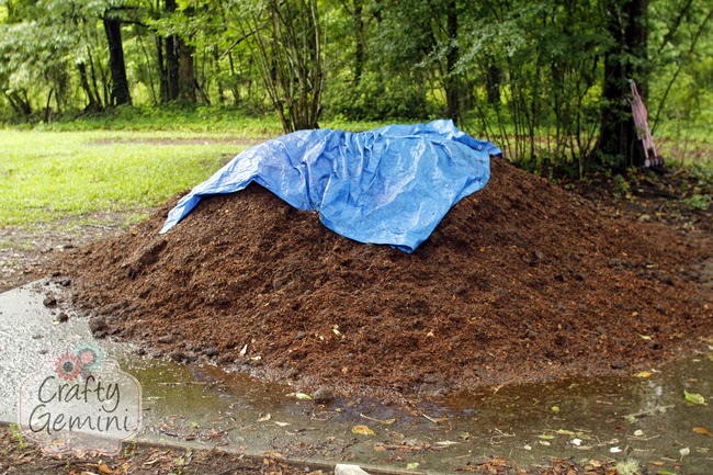 composted cow manure
