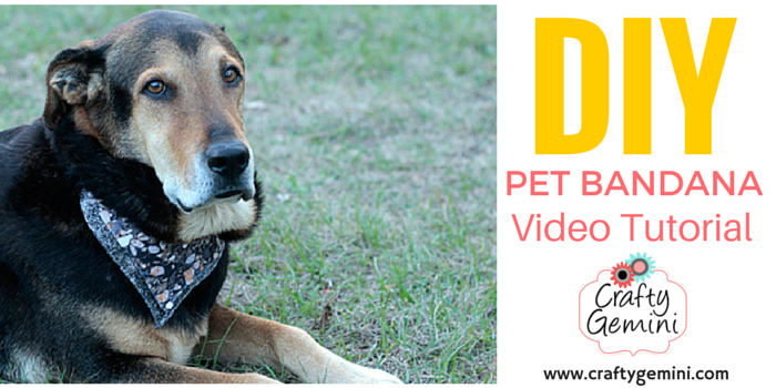 pet bandana video tutorial for dogs cats goats