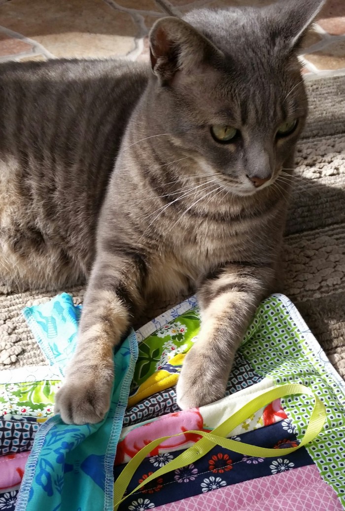 puppy the cat and her quilt made by Jonathan, Age 6.