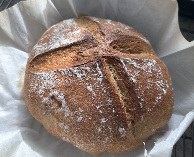 sourdough boule with fresh milled flour