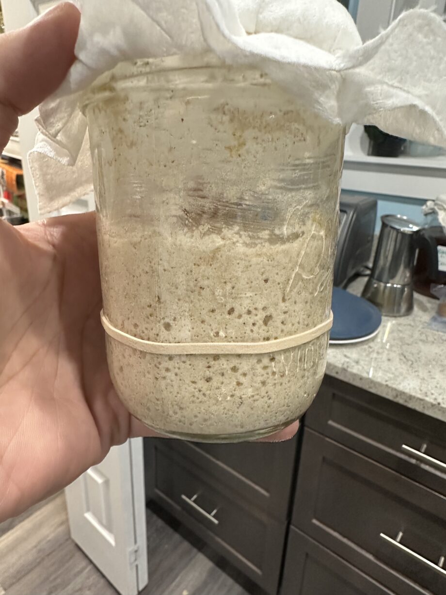 How To Make Sourdough Starter - Crafty Gemini