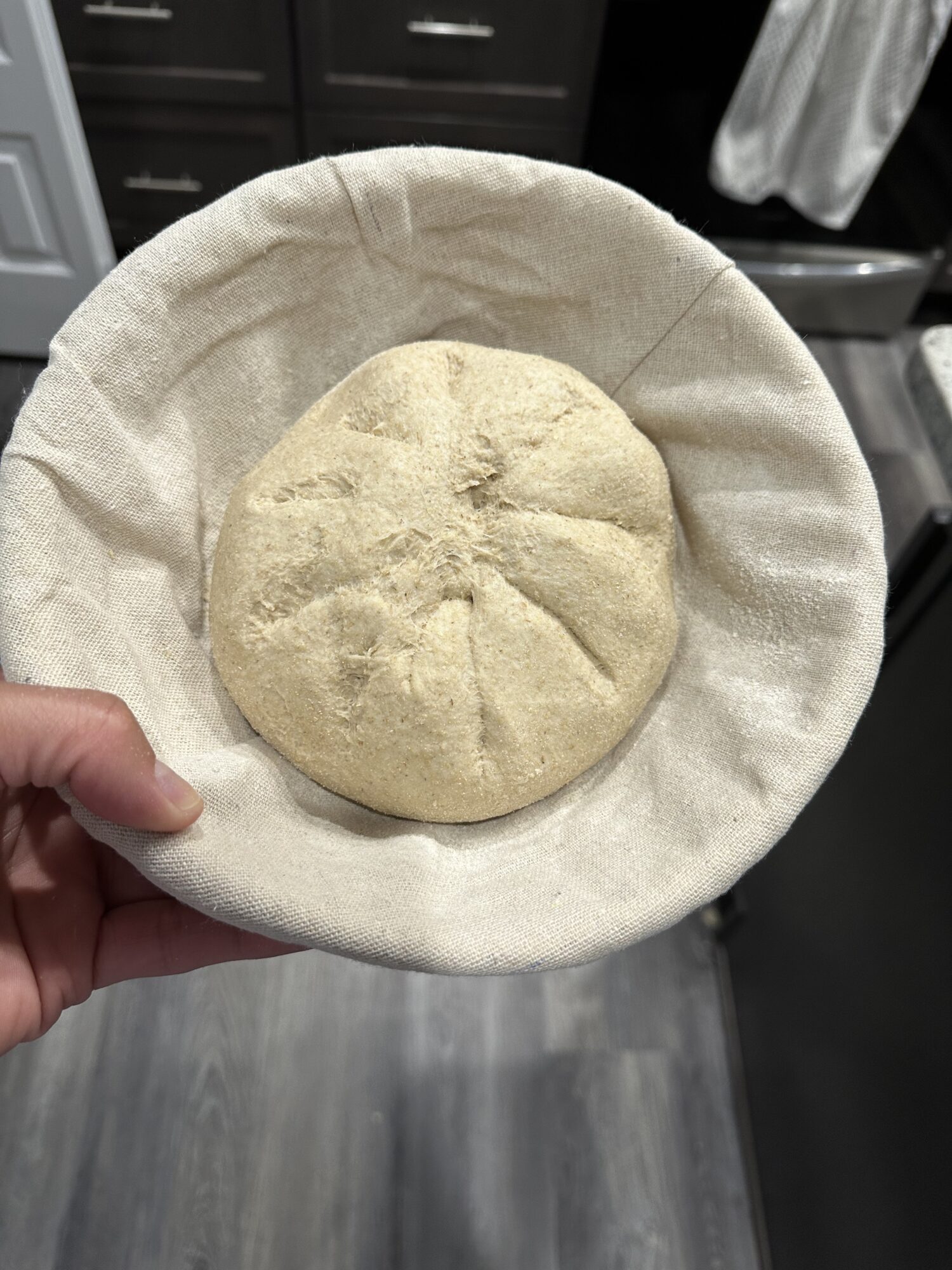 sourdough bread dough