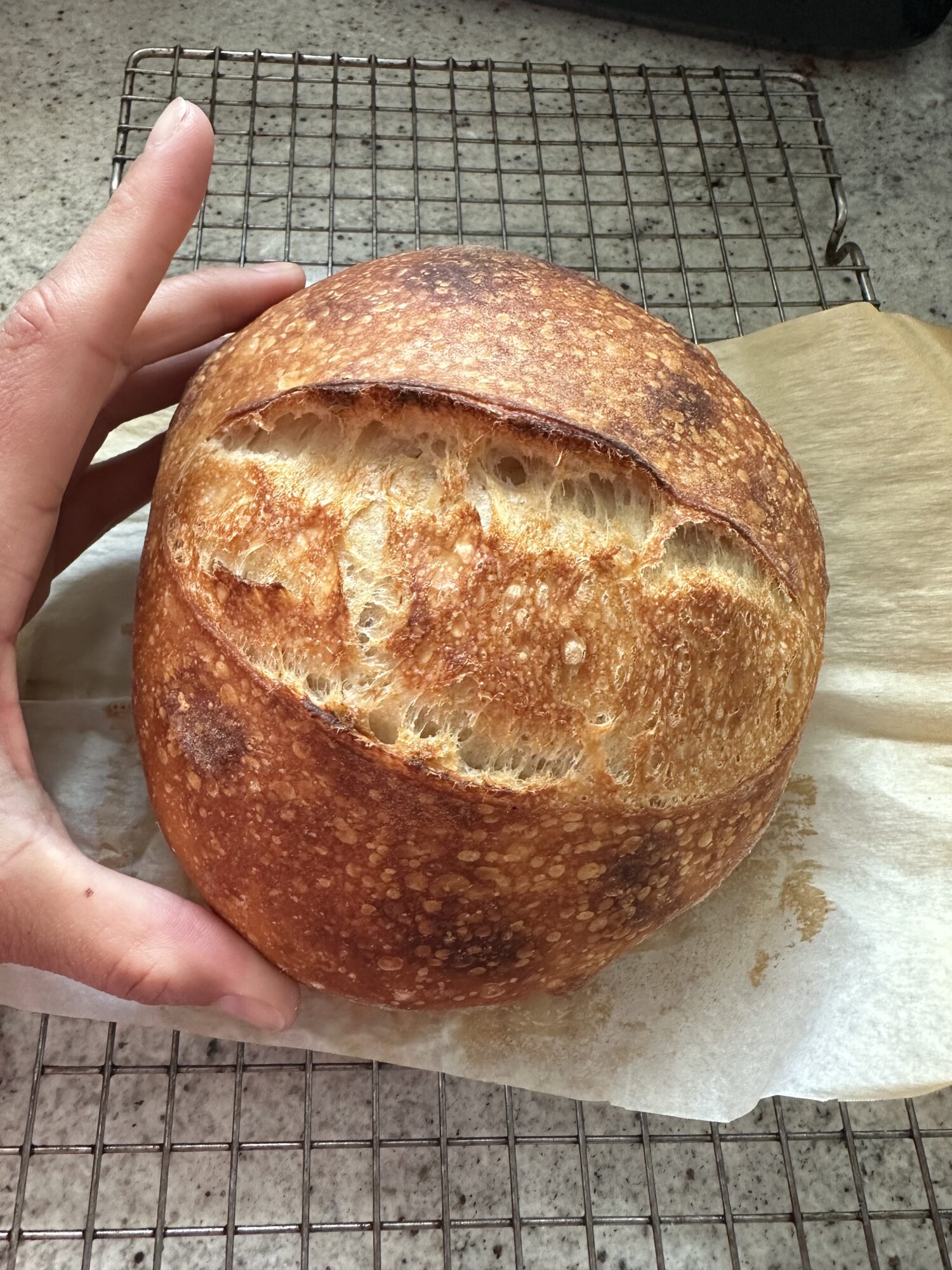 Sourdough Mini Loaf- Recipe - Crafty Gemini