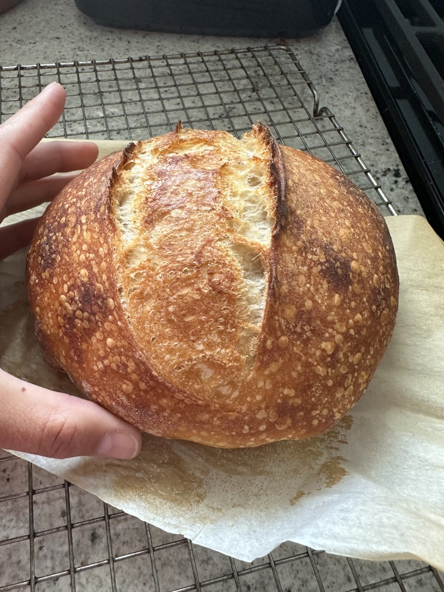 sourdough bread mini loaf recipe