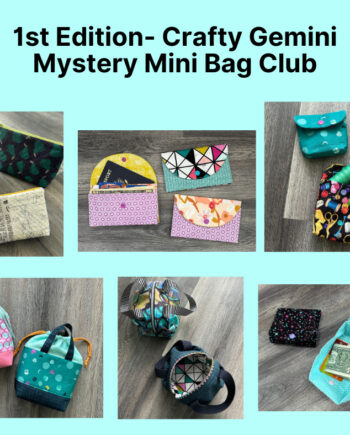 2025 Mystery Mini Bag Club 1 Graphics
