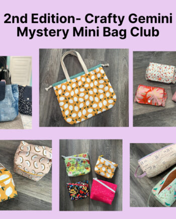 2025 Mystery Mini Bag Club 1 Graphics (1)